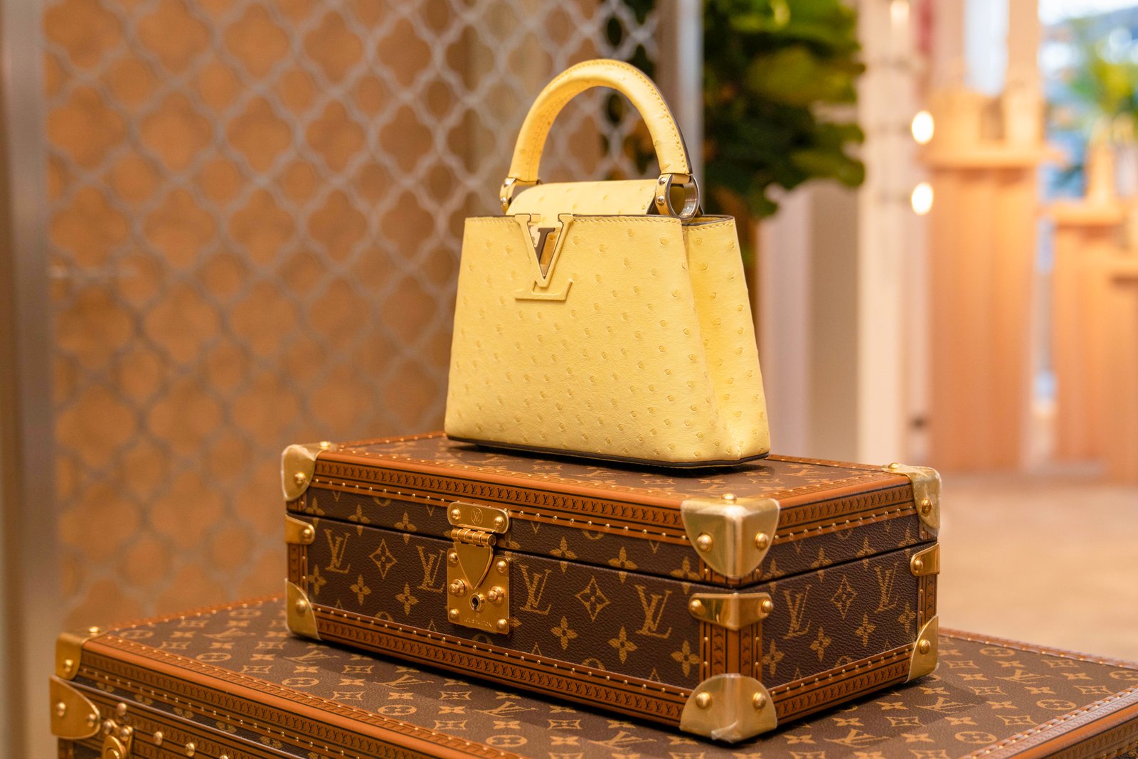 Evento Louis Vuitton - Gallery image 2